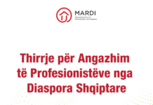 Thirrje për profesionistët e diasporës shqiptare që të angazhohen në Kosovë